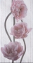 1846 Декор Leda Tulip pink 25х50