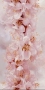 1857 Декор Selena Cherry pink 25х50