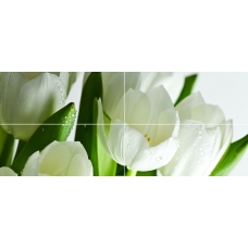 Arco Verde Tulipan 50x120