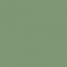 Моноколор 4 зеленый неглазурованный 60x60
