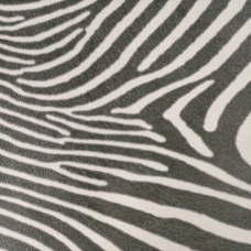 Zebra 45x45