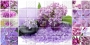 Арома лиловый Сирень декор-2 25x50