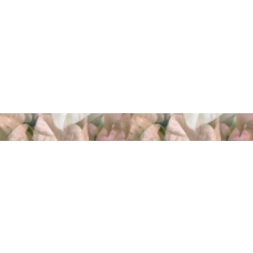 Фрезия бордюр Магнолия розовый 5.4x50