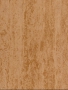 Илиада коричневая низ 02 25x33