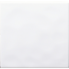 ALPN1A Polar Alpine Field Tile White 20x20