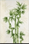 Декор Альба бамбук 1 20x30