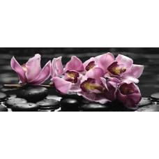 Lana Спа Орхидея 2 20x50