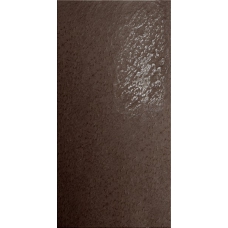 Моноколор CF 006 шоколад лапат LR  60x30