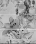 2593 Viola Set Flowers Antracite 50х60 (3шт)