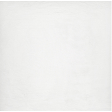 Ardesia Bianco 59.4x59.4
