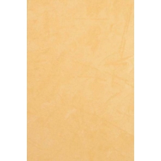 Ориго настенная оранжевая 1031-6034 20х30
