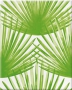 34071 Декор пальмовые листья на белом фоне 25х33