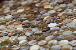 Мозаика Shell Mosaic