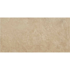 19119 EVOLUTION CLAY 30x60