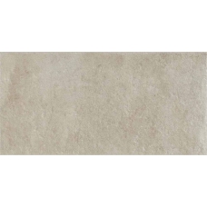 19121 EVOLUTION SUEDE 30x60
