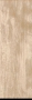 BRUNEI ARICA 15X45