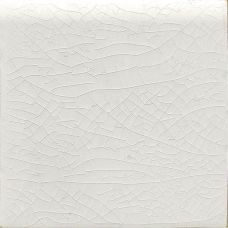 White 10x10