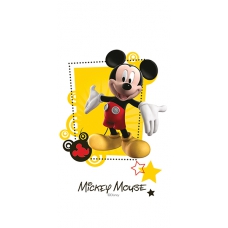 Mickey Friends R3060 30x600