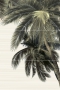 ПН9ДМ2 панно пальма из 3-х плиток 500х747