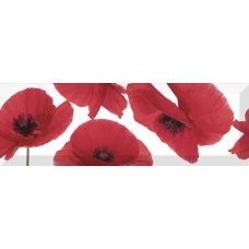 Decor Poppy 15X45