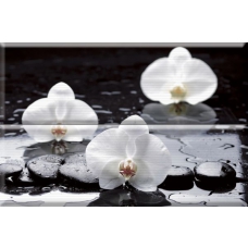 Composicion Wellness 02 White 30x45 (комплект 2шт)