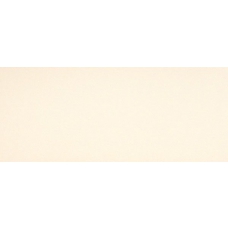 Rev.VISION BEIGE VSN461N 26x61