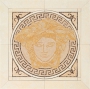 0014215 Palace MEDUSA MARMO ORO 41x41