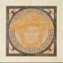 0014218 Palace MEDUSA MARMO ORO NERO 41x41