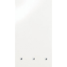 Contemporary Levigato BIANCO CRYSTAL Inserto Acciaio 30.5Х56