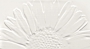 Colour White Sunflower 59,3х32,7