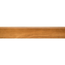 Rod. Central Park OAK 8х45