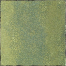 58100-105 Veneto Verde 25x25