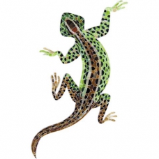 APM- Lizard мозаика 20,6х36,5