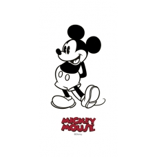 Disney Mickey Classic R3060 30x60