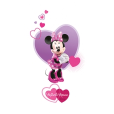 Disney Minnie Friends R3060 30x60