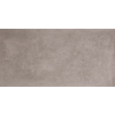 AW9K Dwell Gray 30x60