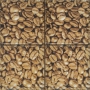 ABS0588 Monocolor Set Coffee Beans 02 (4pzs) 10x10