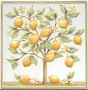 TLA001 Капри Лимонное дерево 20х20