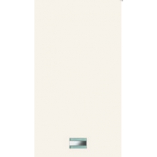 Contemporary Satinato BIANCO CERA Inserto Linea 30.5Х56