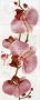 377087 Панно Орхидея 40х100 (комп 4 шт)