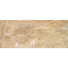 Chicago beige 25x60