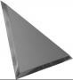 ТЗГ1-03 Треугольная зеркальная графитовая с фацетом 10 мм 25x25