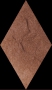 Taurus Brown ROMB 14,6x25,2