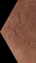 Taurus Brown POŁOWA 14,8x26