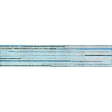 0150009 BLUE DECORATION 20x50