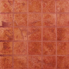 NTR1 33x33
