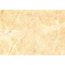 D692206BH KILIMANJARO-GOLD 60x90