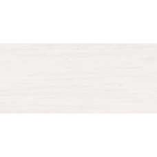 AZOR Marvel Bianco Dolomite 110 50x110