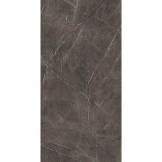 AY2O Marvel Grey Stone Lappato 120x240