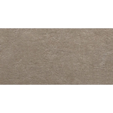 69782 Light Stone Taupe 25х50